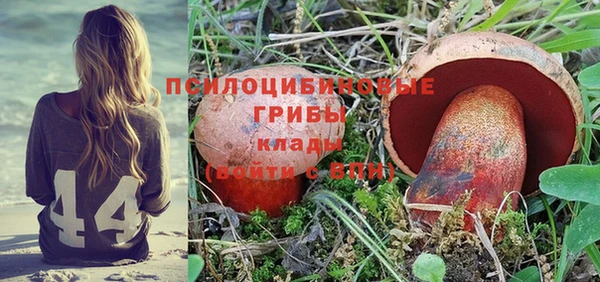 Альфа ПВП Алексеевка