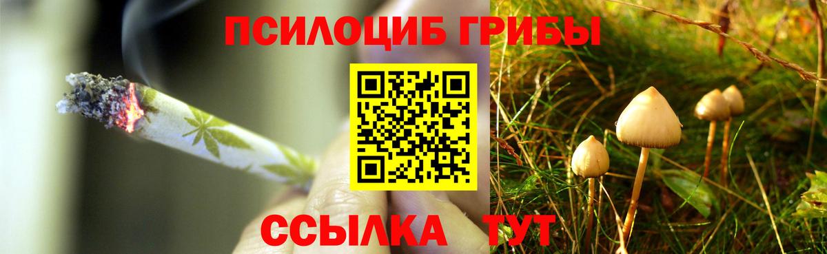 Псилоцибиновые грибы прущие грибы Балашов