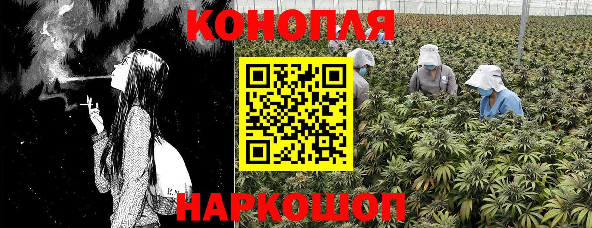 Бошки марихуана гибрид  Вход с VPN  Канабис конопля  МАРИХУАНА марихуана  Шишки марихуана конопля  Балашов 